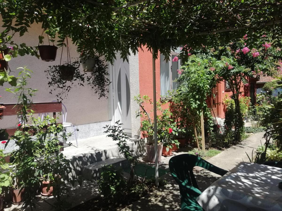 Apartman Nana Jagodina Zewnętrze zdjęcie