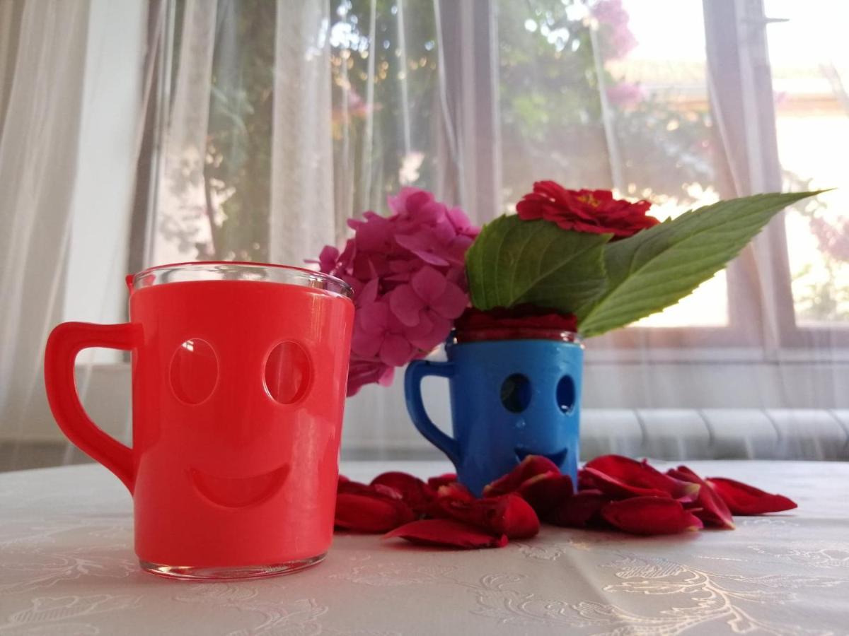 Apartman Nana Jagodina Zewnętrze zdjęcie