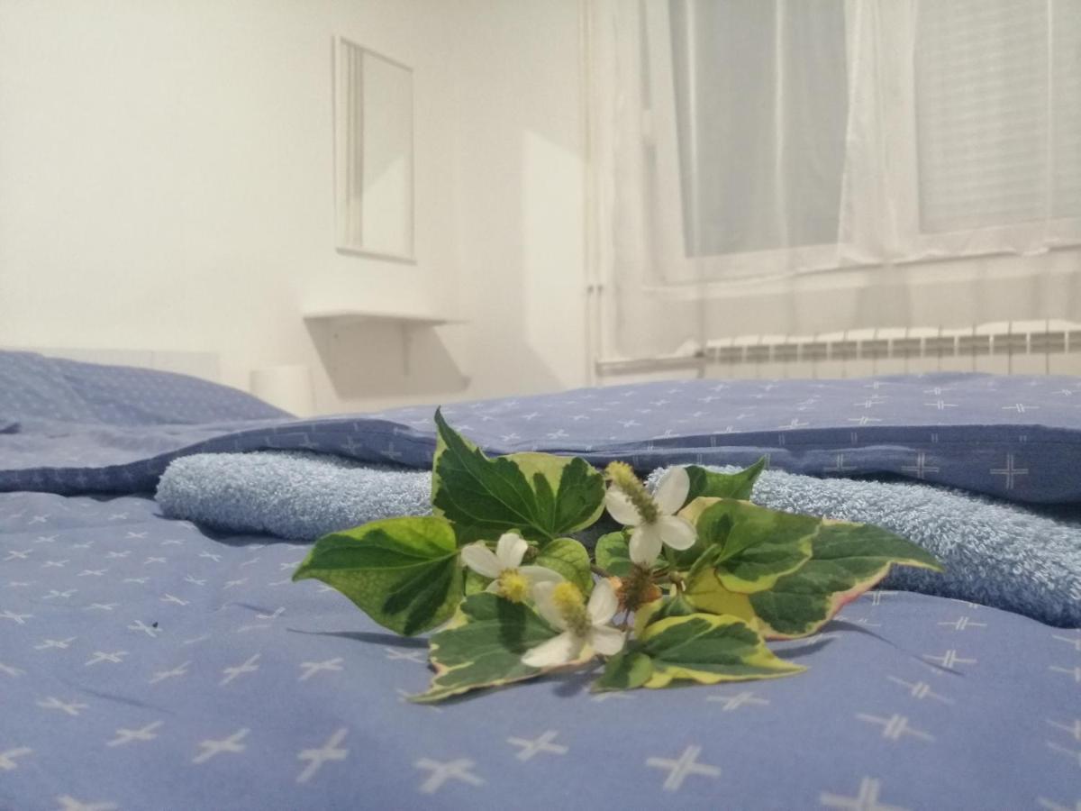Apartman Nana Jagodina Zewnętrze zdjęcie