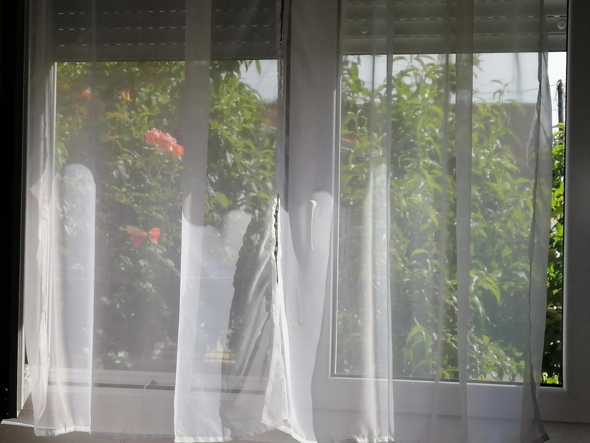 Apartman Nana Jagodina Zewnętrze zdjęcie